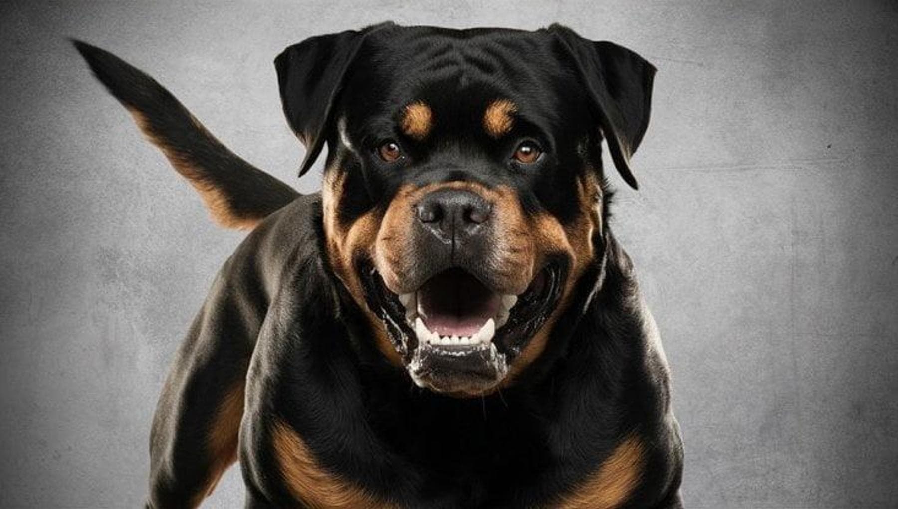 035026833 31e82ece f1c6 483d 8334 da597723639e