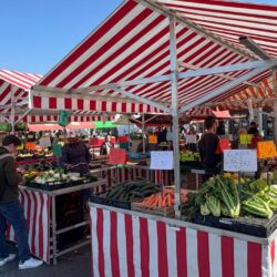 184456322 eb22c155 a22d 41e7 bb85 ddcfda28a2bb