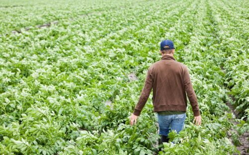 Agricoltore
