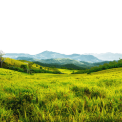 Ai generated rolling green hills with distant mountain panorama on transparent background stock png