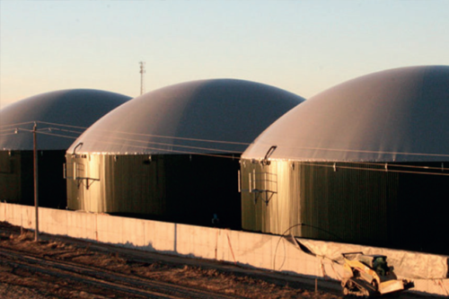 Biogas