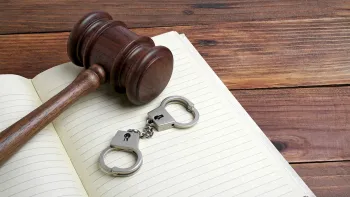 Casellario giudiziale