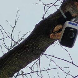 Generica 2020 1286376.610x431