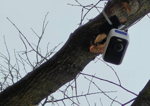 Generica 2020 1286376.610x431