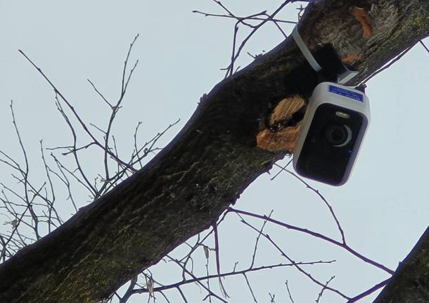 Generica 2020 1286376.610x431